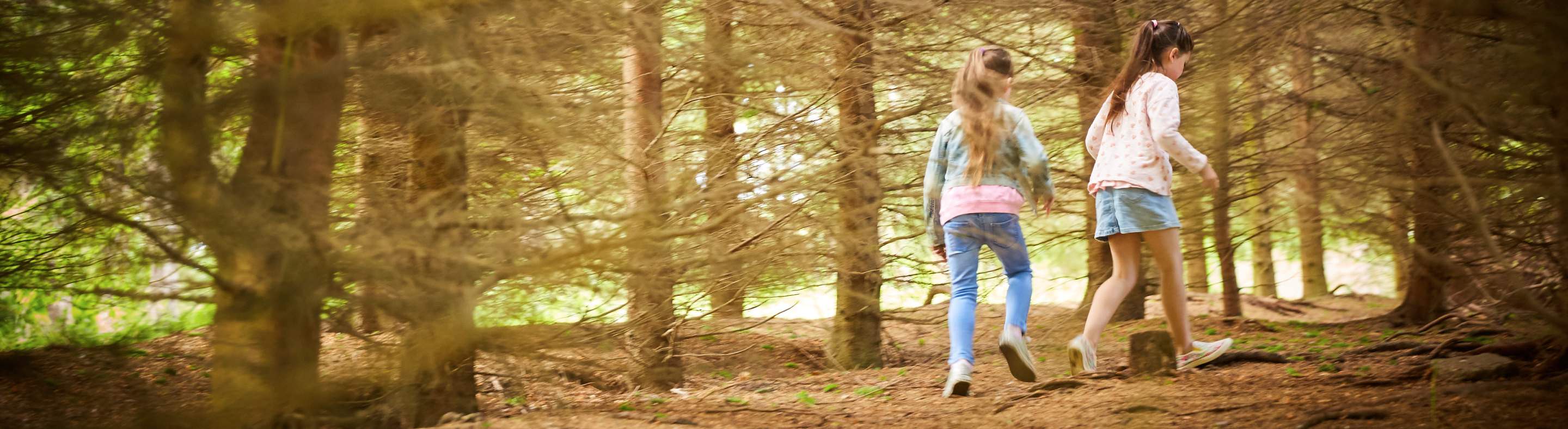 Family in the forest