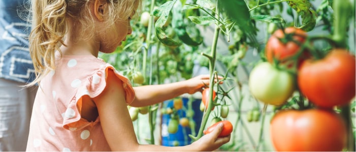 Planting a garden