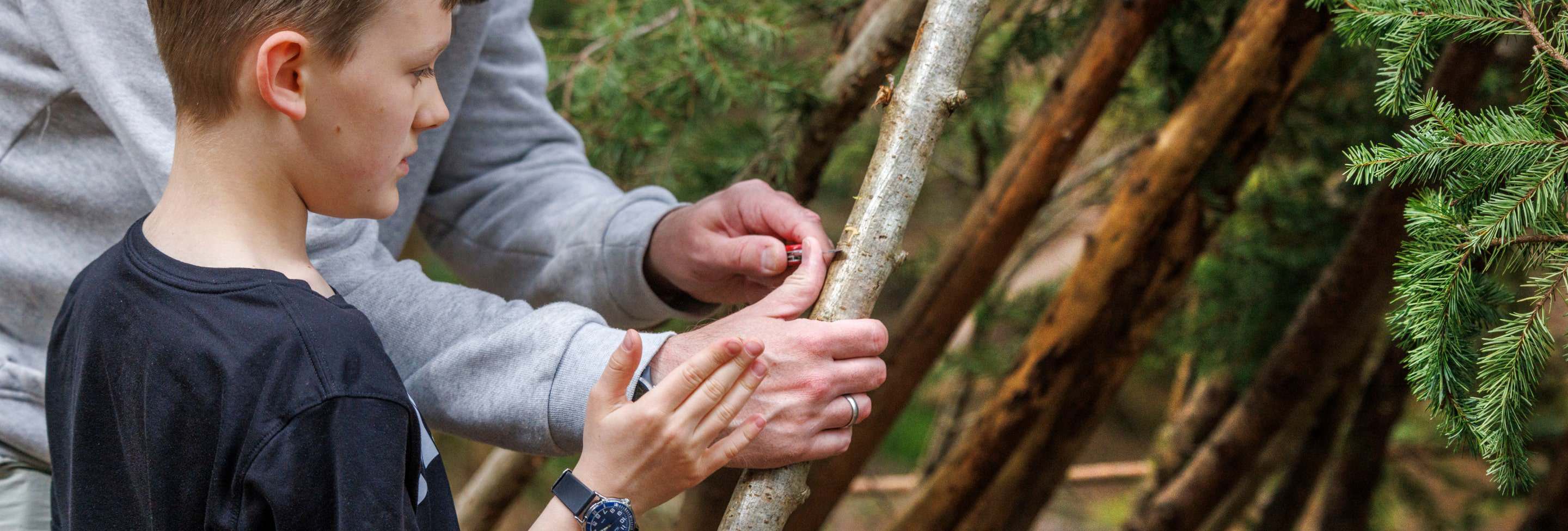 Practice some simple woodwork skills