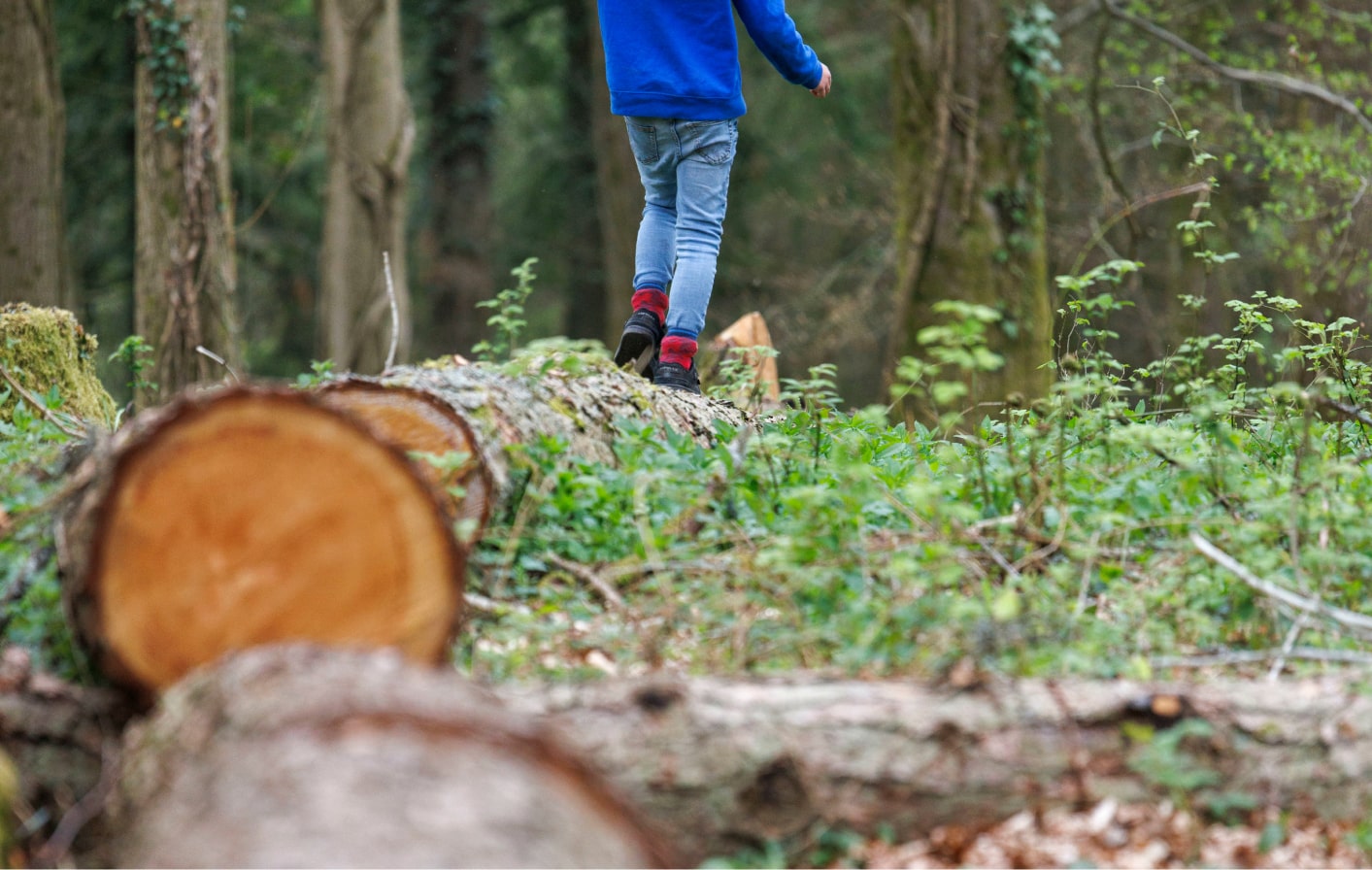 Create and master an obstacle course