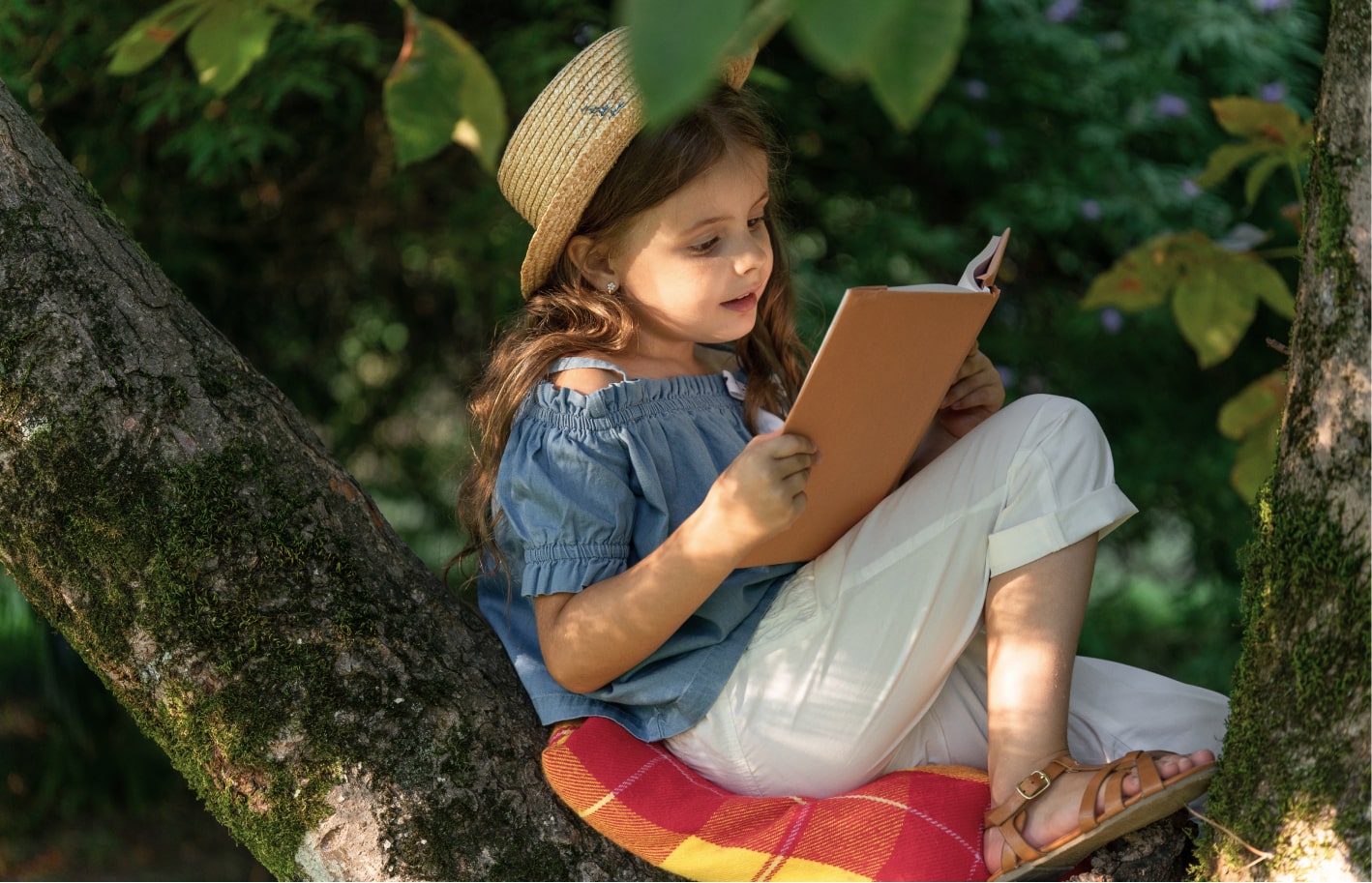 Create a reading nook