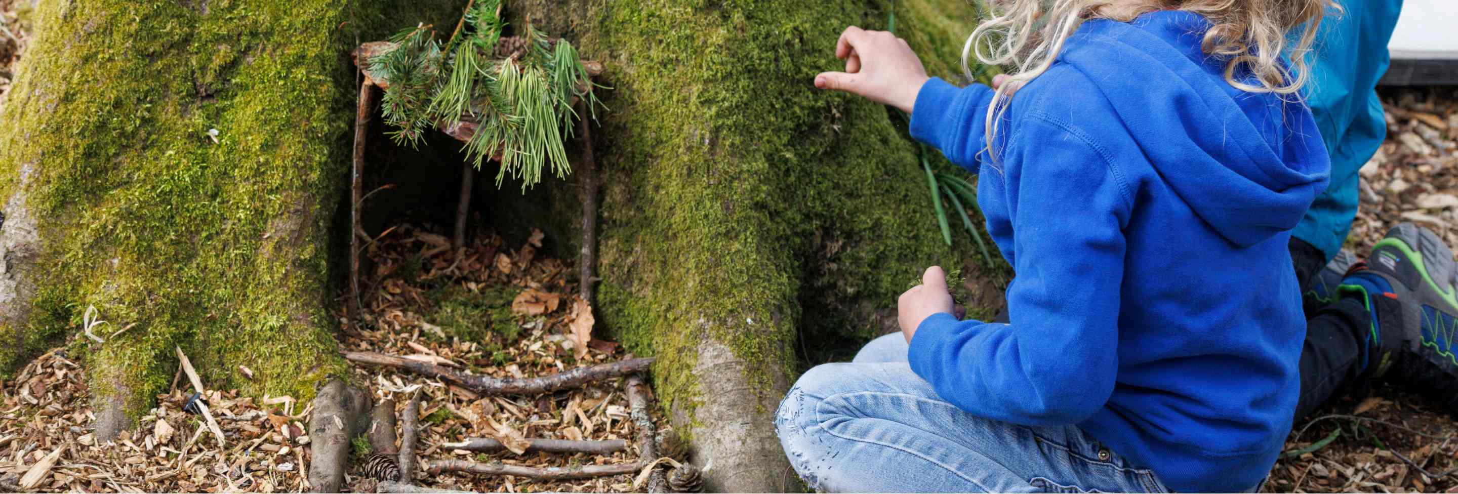 Create a fairy garden