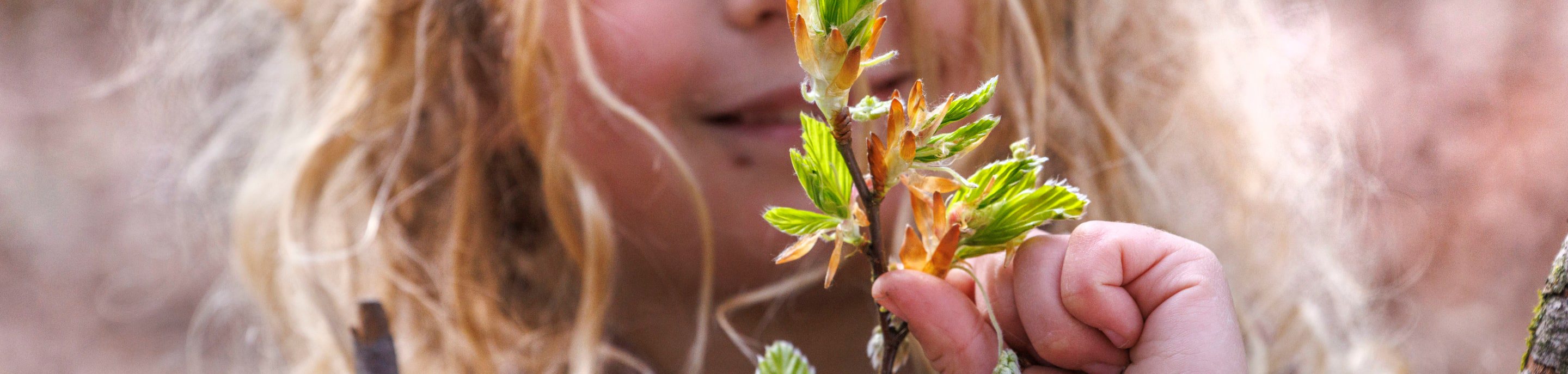 Child with a branch